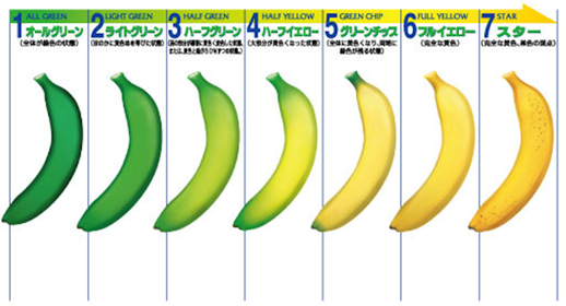 じめてみませんか？1日2本のバナナ習慣！Doleバナ活チャレンジキャンペーン