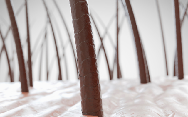 髪の健康は頭皮環境で決まる