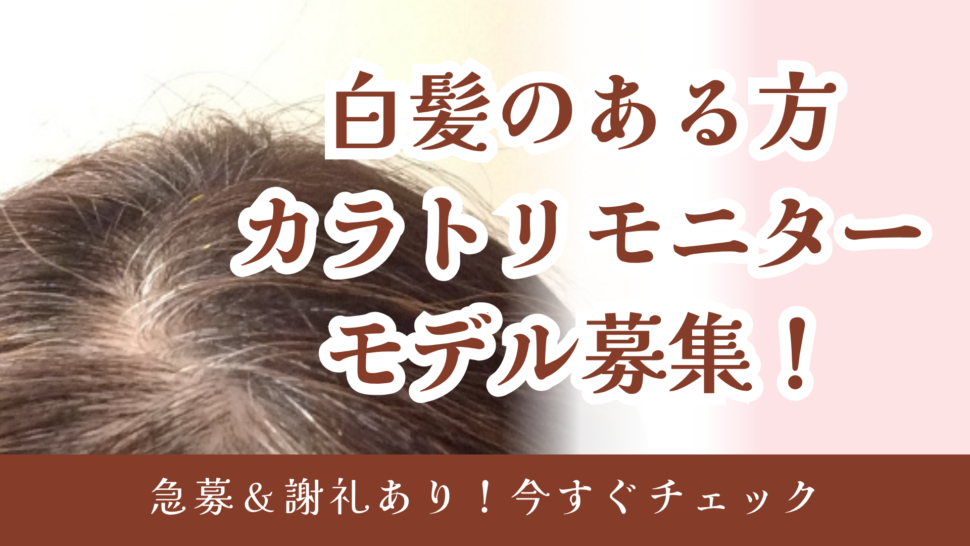 カラトリモニター募集