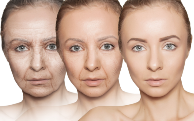 agingcarematsuri (3)