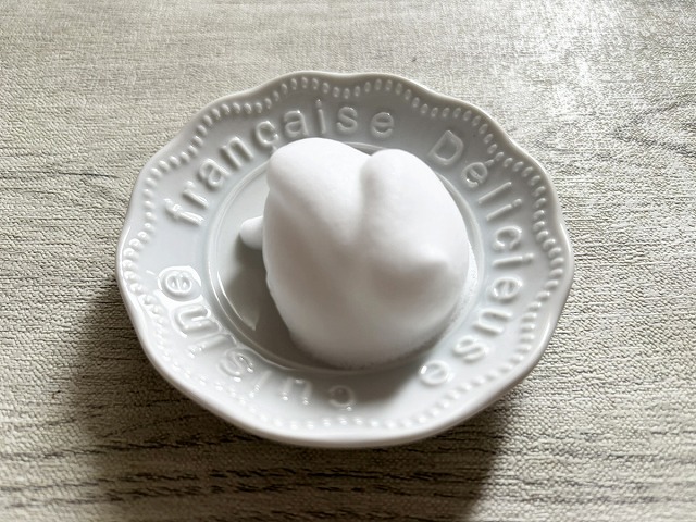 デリケートウォッシュ リッチフォームAY