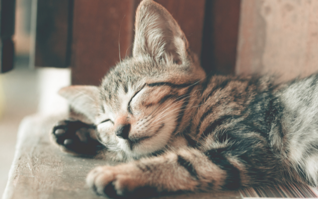 寝る前に取り入れたい“美人習慣”