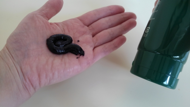 白髪染カラトリ