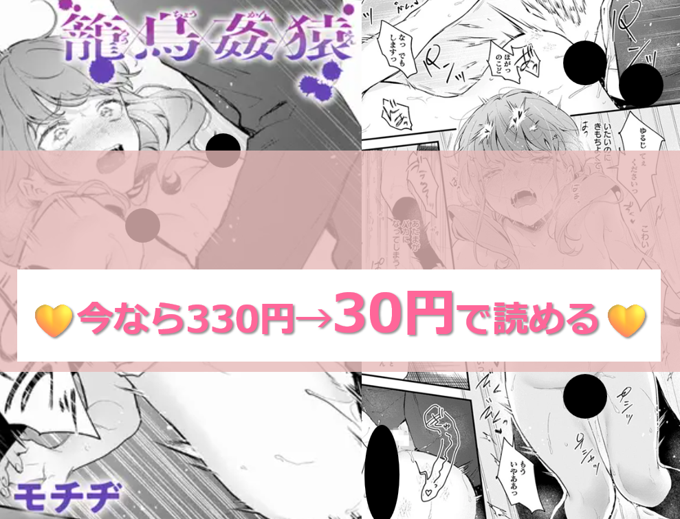 籠鳥姦猿（ろうちょうかんえん）