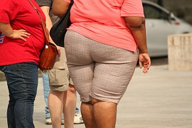 40代から忍びよる・・・サルコぺニア肥満を予防しよう！