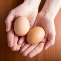 ケージ卵ってなに？知っておくべきヴィーガンの卵の選び方を紹介