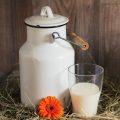 植物性ミルクで健康管理！種類別のメリットと健康に役立つ理由
