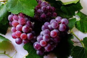秋の果物ぶどうに含まれているポリフェノールの栄養素